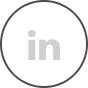 LinkedIn Icon